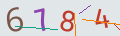 verifycode